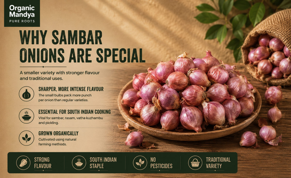 flaour - sambar - onion - raj