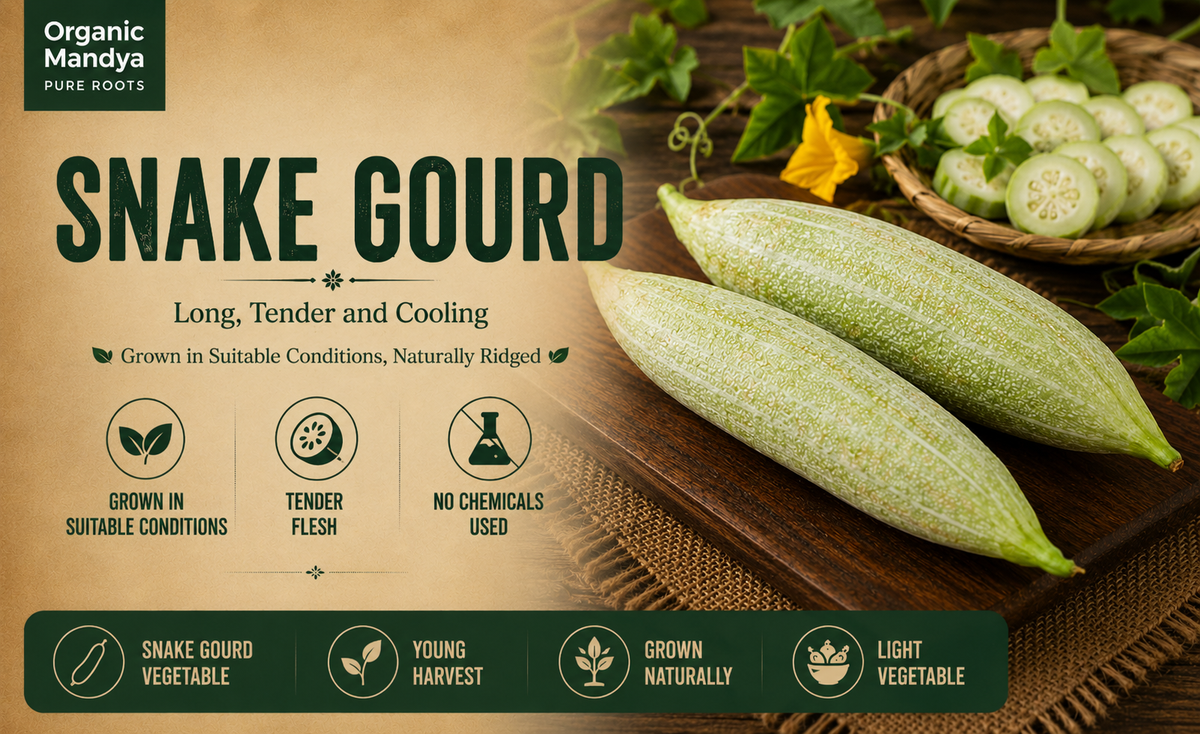 grown snakegourd