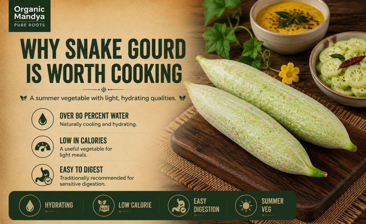 hydrating - snake - gourd