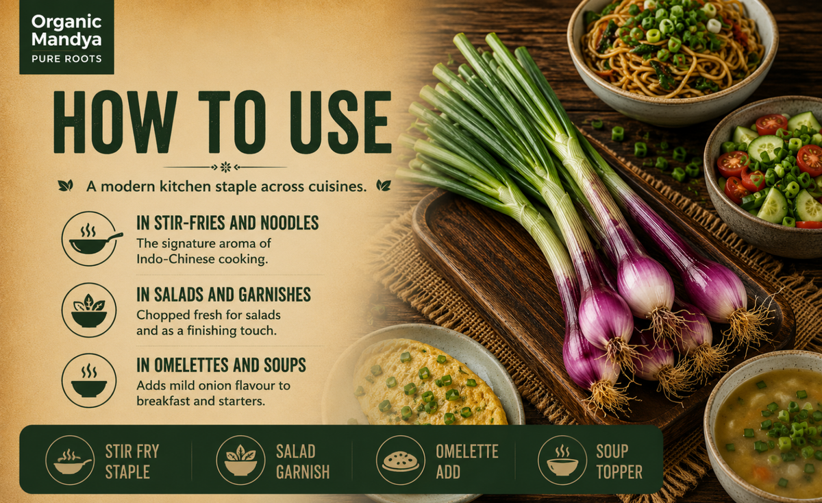 usage - spring - onion