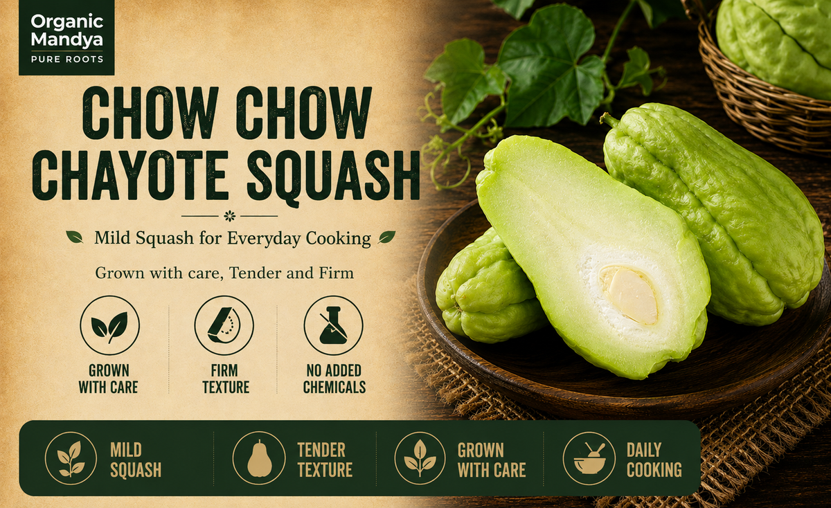 squash chyote chow