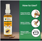 Strategi Just Out Cockroach Spray