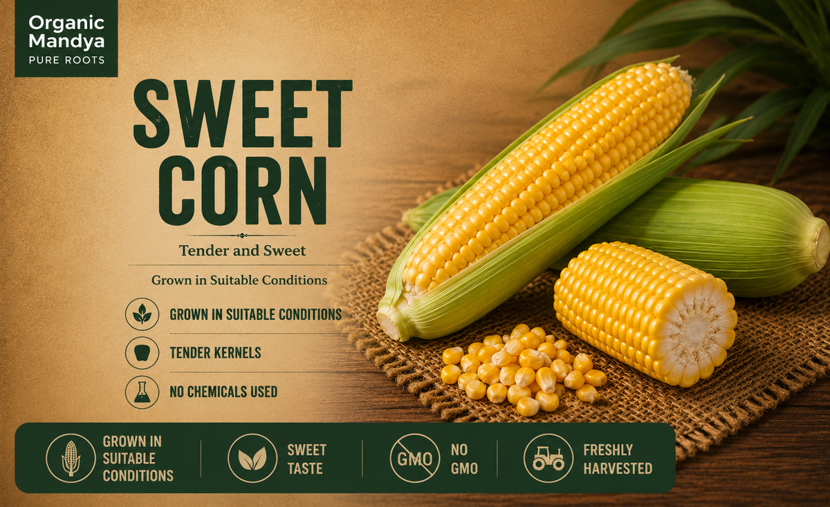 sweet corn