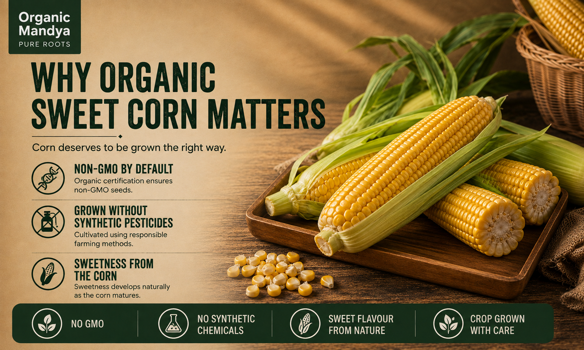crop sweet corn
