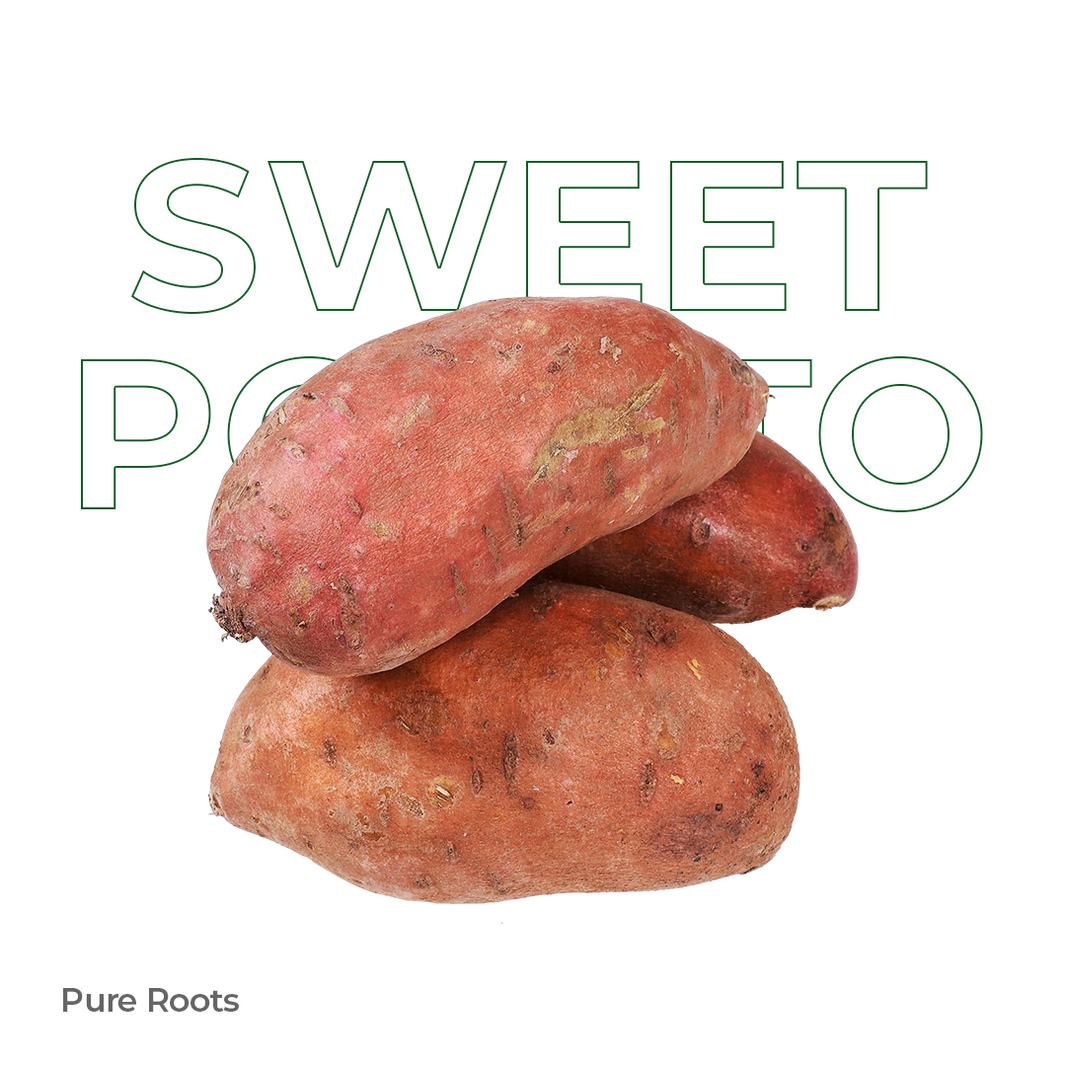 Organic Sweet Potato