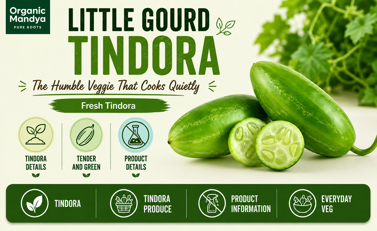 fresh-tindora-green-vegetable