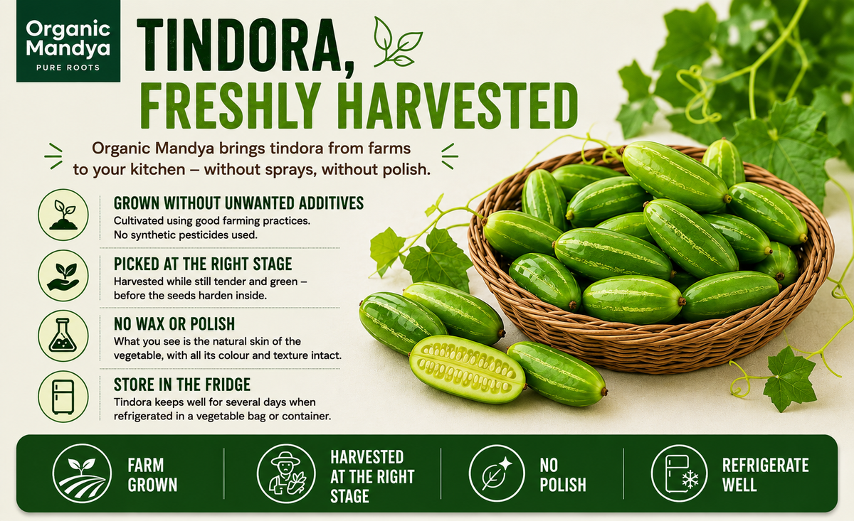 fresh-tindora-produce