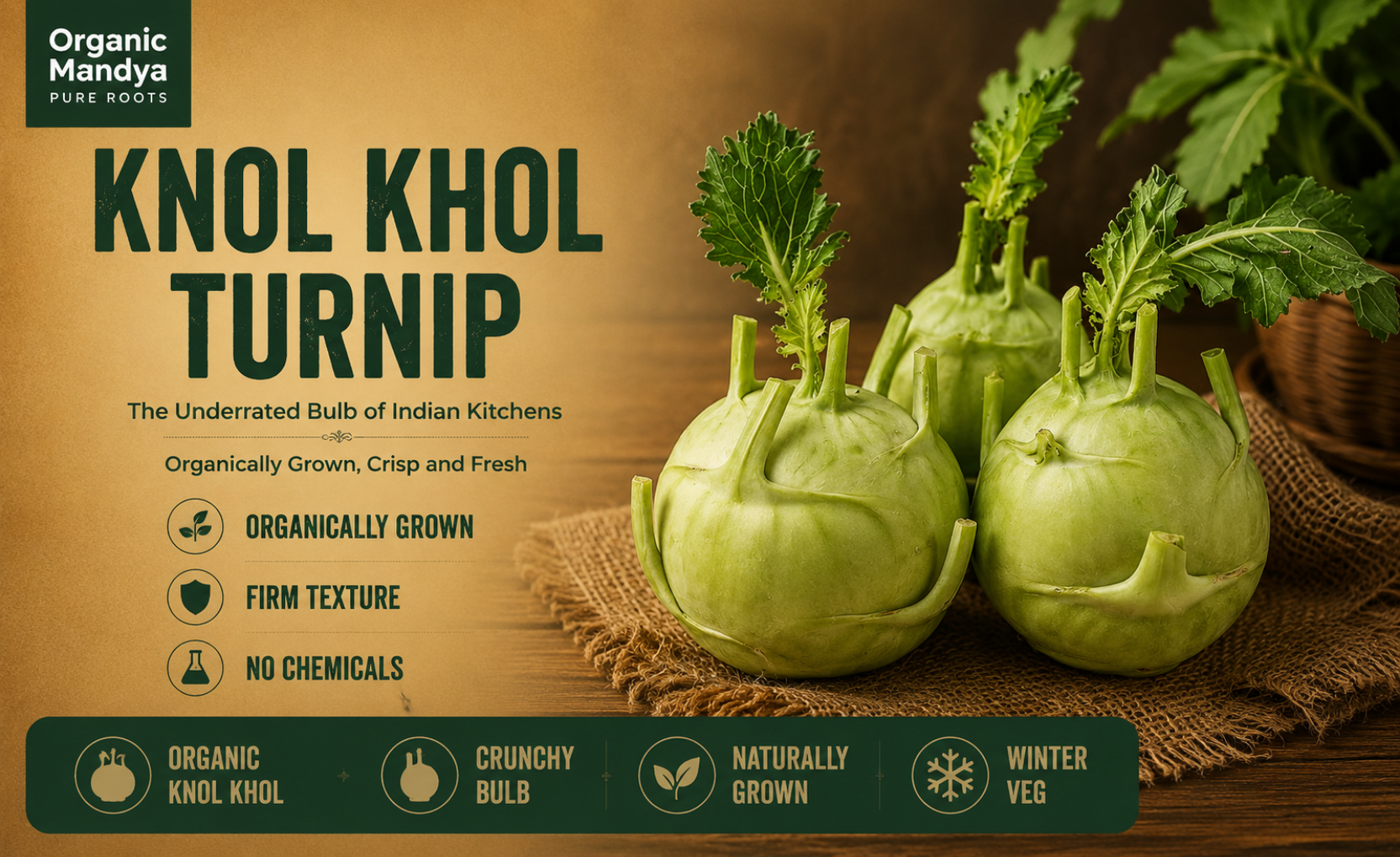 crunchy - turnip - knol - knol