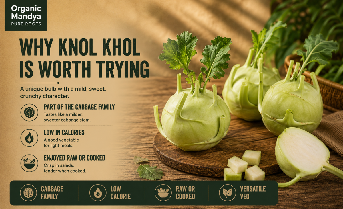 versatile - turnip - knol - knol