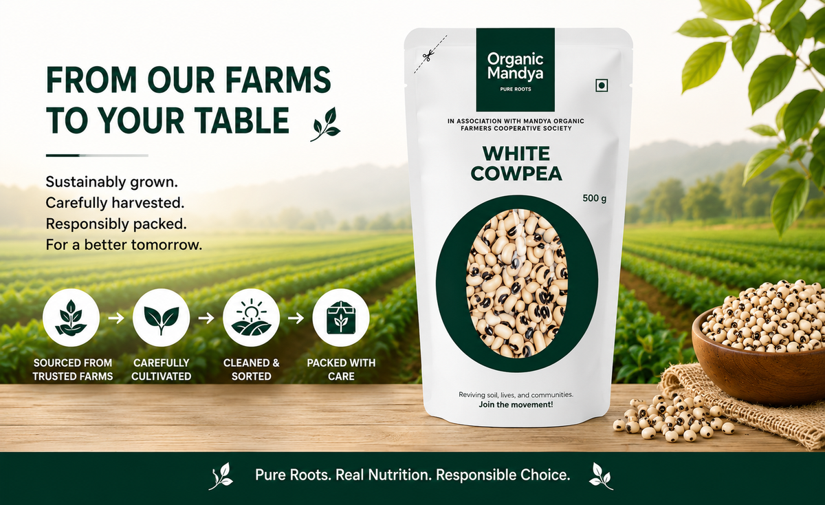 Fresh - white - cowpea - lobiya