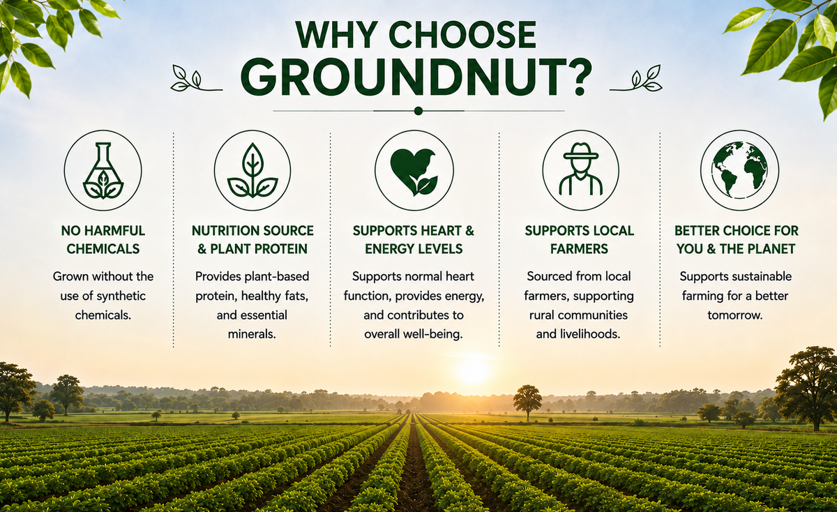 Groundnut Farming Benefits