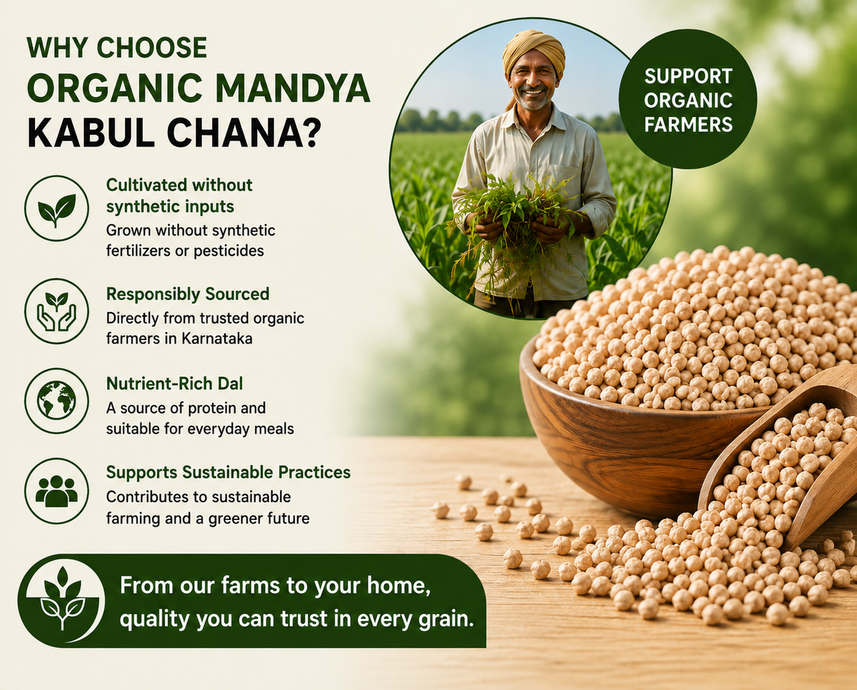 cultivated kabul chana