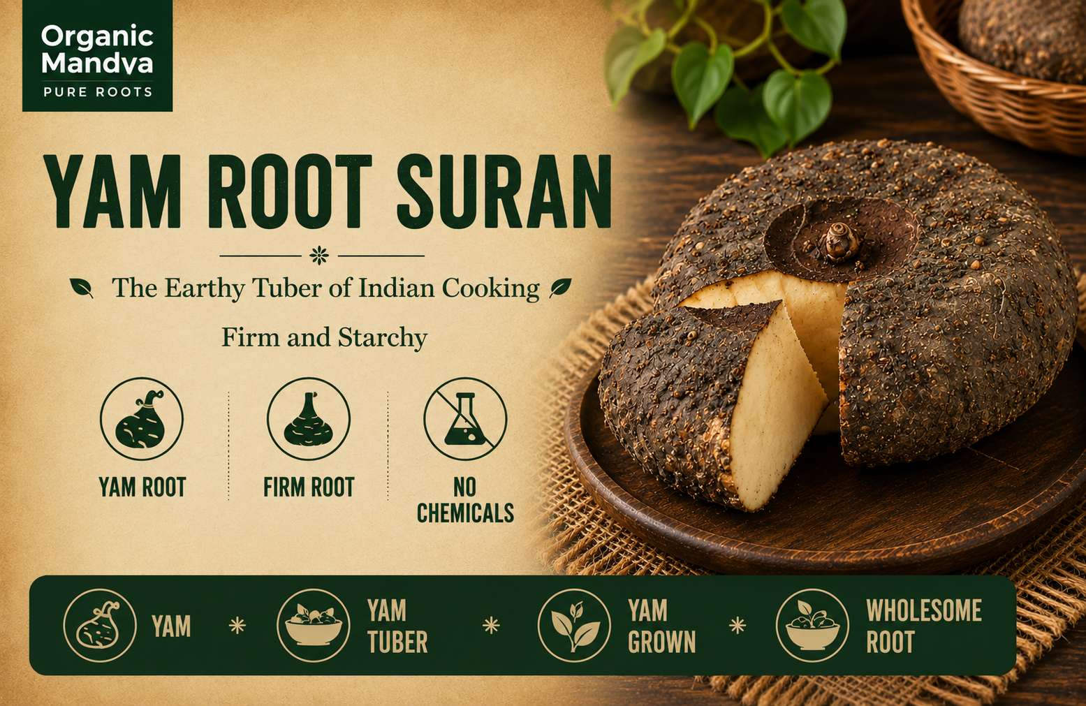 suran root vegetable