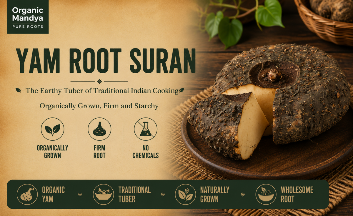 Organic Mandya Yam Root Fresh – Buy Farm Direct Online